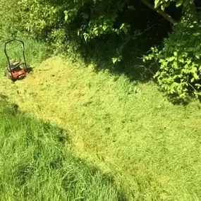 Bild von Gareth Shallcross