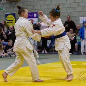 Bild von EGH Judo