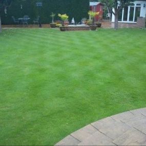 Bild von Grassroots Lawn Treatments Ltd