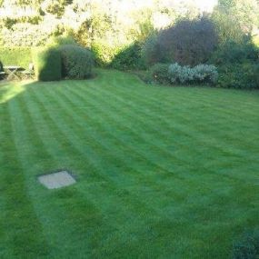 Bild von Grassroots Lawn Treatments Ltd