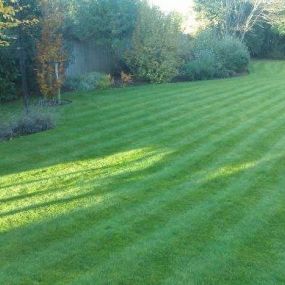 Bild von Grassroots Lawn Treatments Ltd