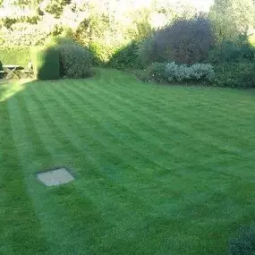 Bild von Grassroots Lawn Treatments Ltd