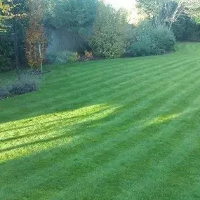 Bild von Grassroots Lawn Treatments Ltd