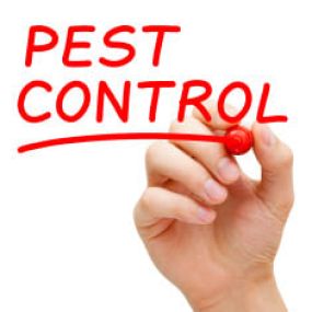 Bild von Greystones Pest Control