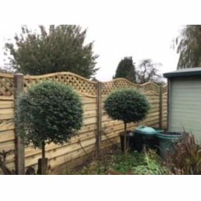 Bild von beeline Fencing Ltd