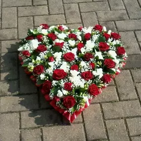 Bild von Summer Lilly's