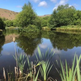 Bild von Llanerchindda Farm Guest House