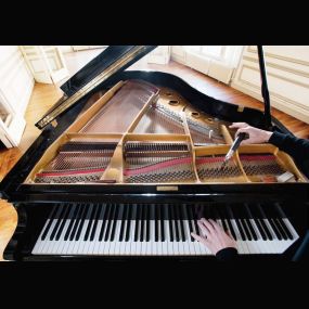 Bild von Best Piano Tuner