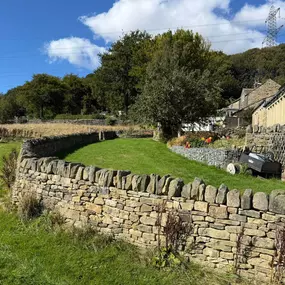 Bild von D Hall Walling