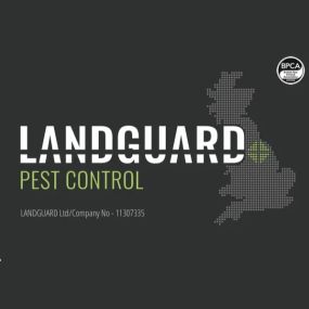 Bild von Landguard Pest Control