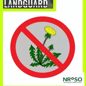 Bild von Landguard Pest Control