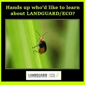 Bild von Landguard Pest Control