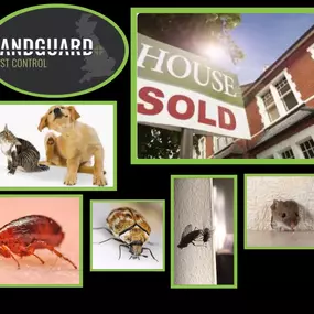 Bild von Landguard Pest Control