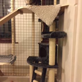 Bild von Hawthorn Boarding Cattery