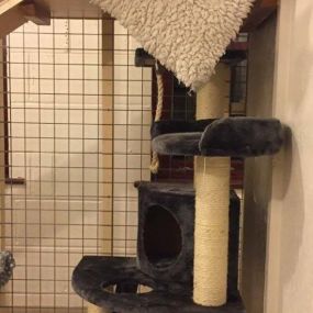 Bild von Hawthorn Boarding Cattery