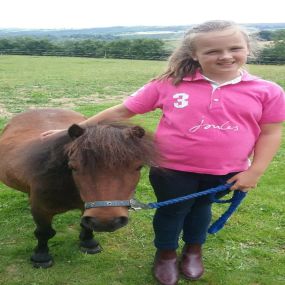 Bild von Humaryn Shetland Pony Rides