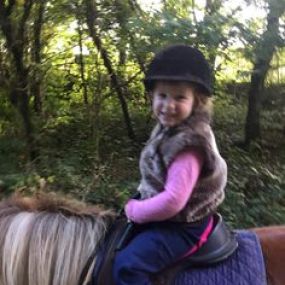 Bild von Humaryn Shetland Pony Rides