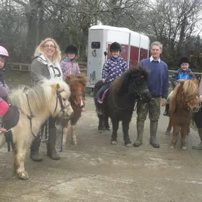 Bild von Humaryn Shetland Pony Rides