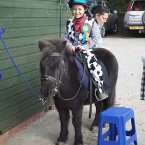 Bild von Humaryn Shetland Pony Rides