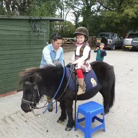 Bild von Humaryn Shetland Pony Rides