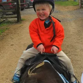 Bild von Humaryn Shetland Pony Rides