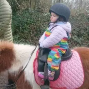 Bild von Humaryn Shetland Pony Rides