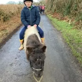 Bild von Humaryn Shetland Pony Rides