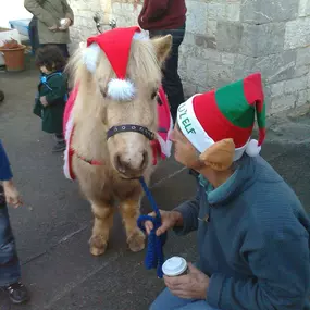 Bild von Humaryn Shetland Pony Rides