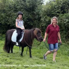 Bild von Humaryn Shetland Pony Rides