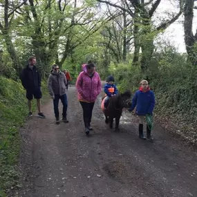 Bild von Humaryn Shetland Pony Rides