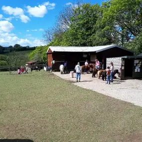 Bild von Humaryn Shetland Pony Rides