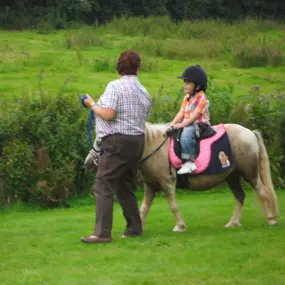 Bild von Humaryn Shetland Pony Rides