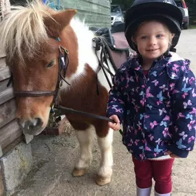 Bild von Humaryn Shetland Pony Rides