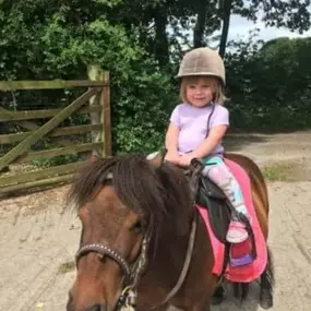 Bild von Humaryn Shetland Pony Rides