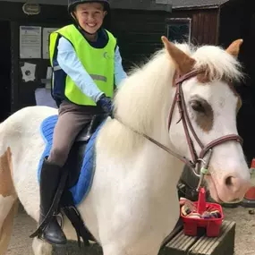 Bild von Humaryn Shetland Pony Rides