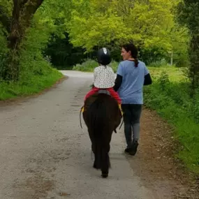 Bild von Humaryn Shetland Pony Rides