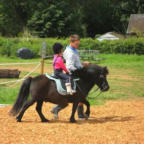 Bild von Humaryn Shetland Pony Rides