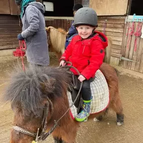 Bild von Humaryn Shetland Pony Rides