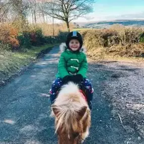 Bild von Humaryn Shetland Pony Rides