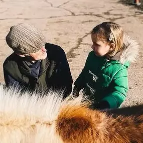 Bild von Humaryn Shetland Pony Rides