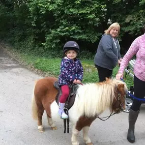 Bild von Humaryn Shetland Pony Rides