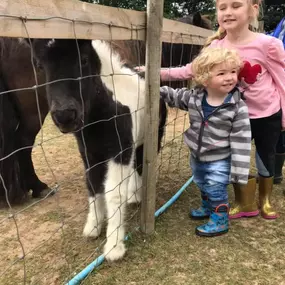 Bild von Humaryn Shetland Pony Rides