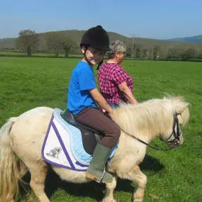 Bild von Humaryn Shetland Pony Rides