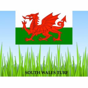 Bild von South Wales Turf