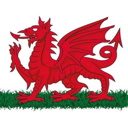 Logo van South Wales Turf
