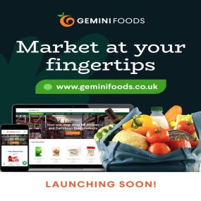 Bild von Gemini Foods