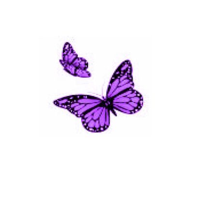 Logo de Butterfly Days Ltd Support at Home