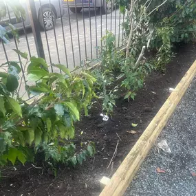 Bild von Ashcroft Gardening Services Ltd