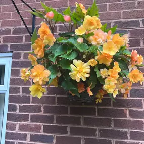 Bild von Ashcroft Gardening Services Ltd