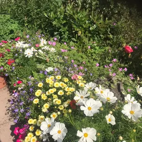 Bild von Ashcroft Gardening Services Ltd